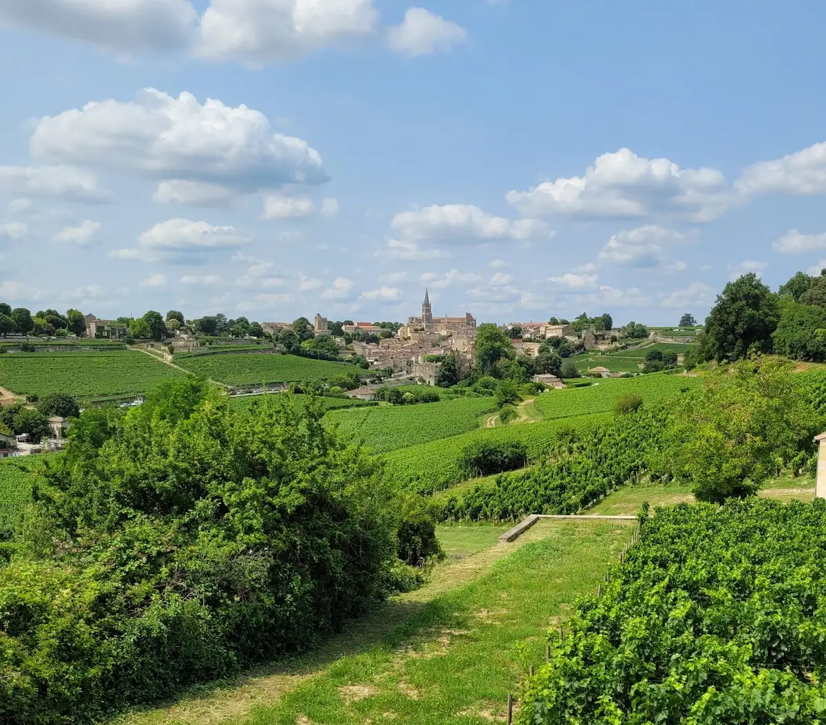 Private wine tasting tour Saint-Émilion and Pomerol Bordeaux